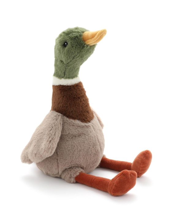 Hugo the Mallard Duck