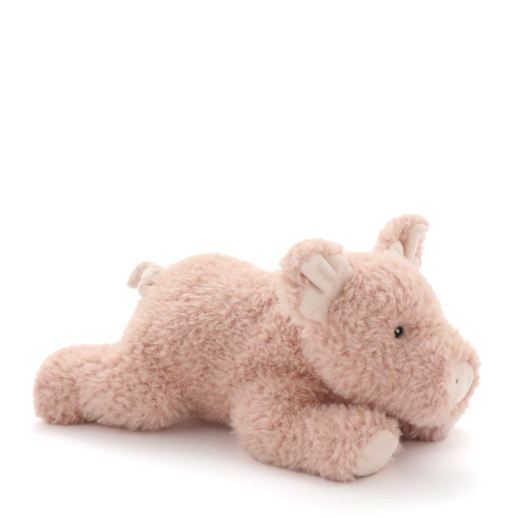 Paloma the Pig