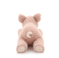 Paloma the Pig