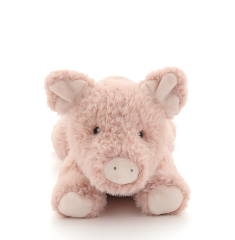 Paloma the Pig