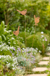 Bird Spray Rust
