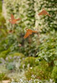 Bird Spray Rust