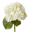 Hydrangea Classic Stem (Fresh Touch) | White/Green