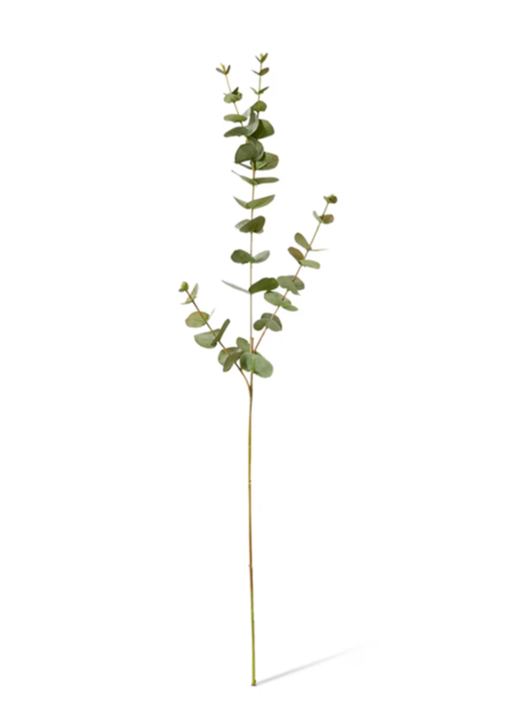 Eucalyptus Spray