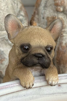 Assorted Frenchie Pot Sitters