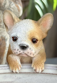 Assorted Frenchie Pot Sitters