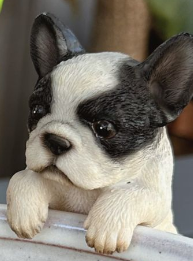 Assorted Frenchie Pot Sitters