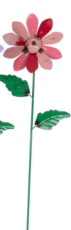 Colourful Industrial Daisy