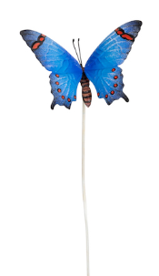 Butterflies Stake Medium