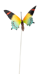 Butterflies Stake Medium