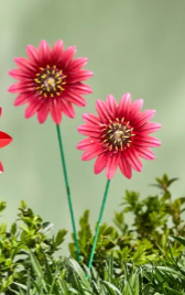 Flower Sticks Medium