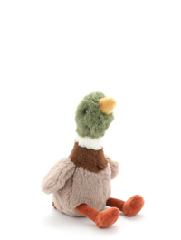 Hugo the Mallard Duck