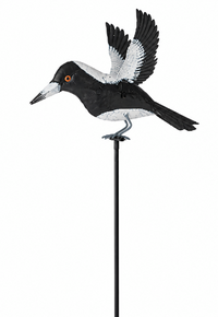 Magpies On Stakes