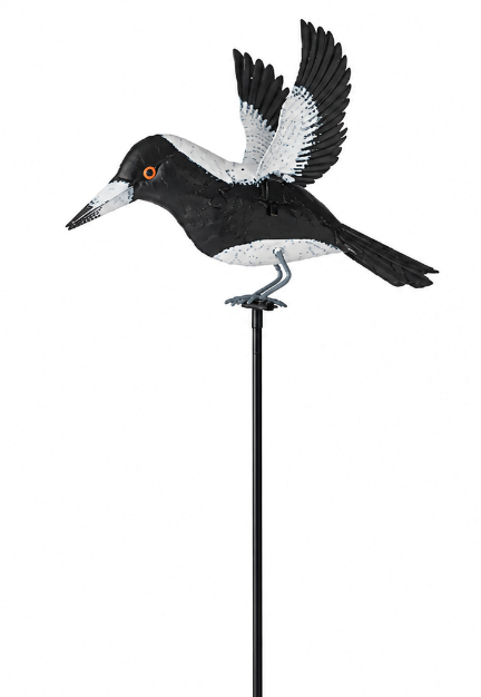Magpies On Stakes