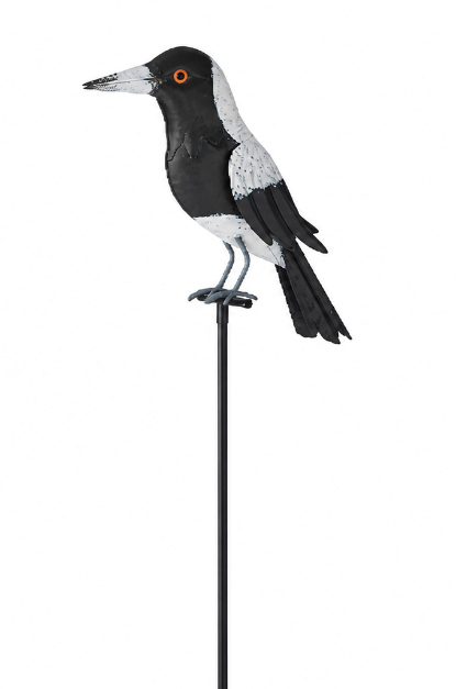 Magpies On Stakes