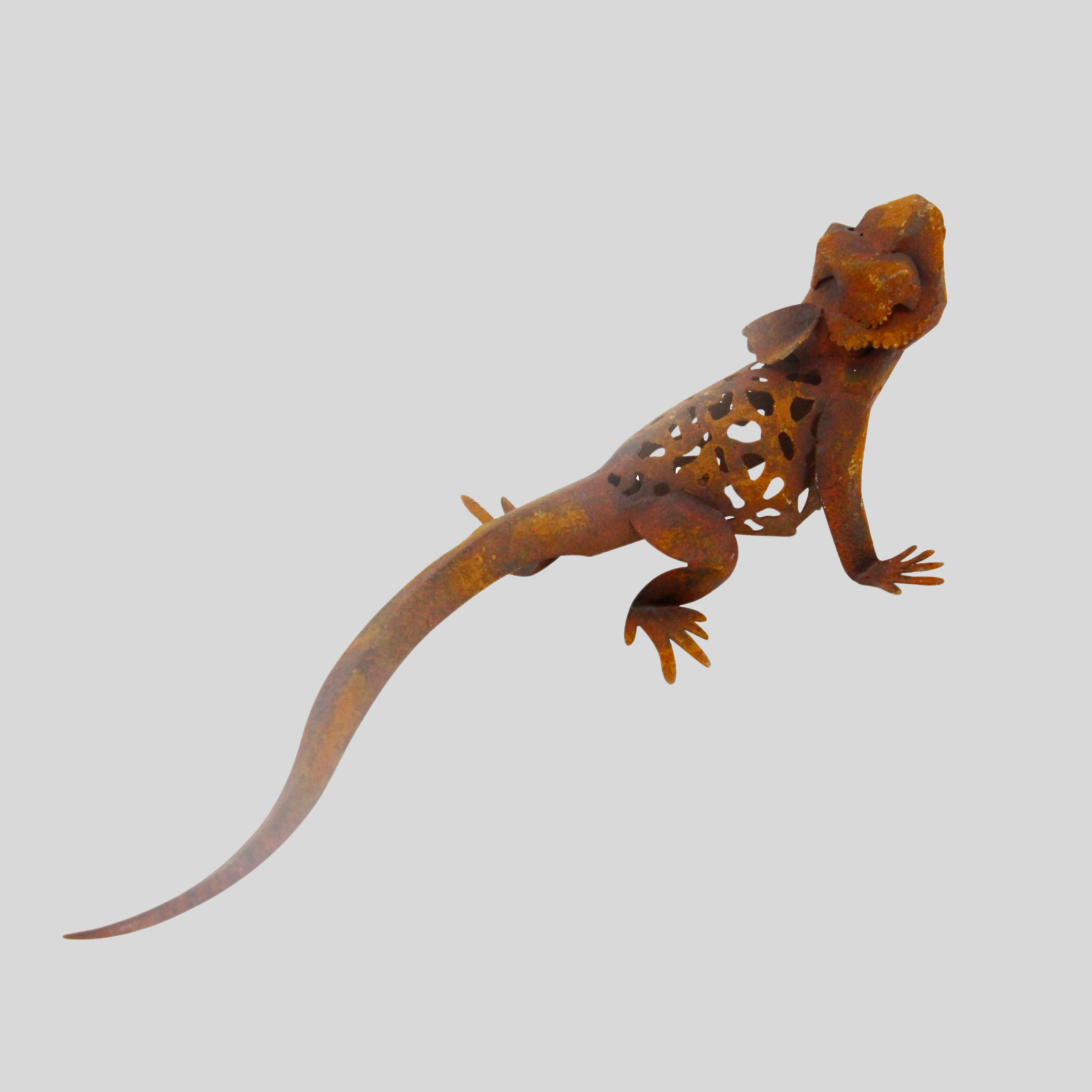 Rusty Lizards