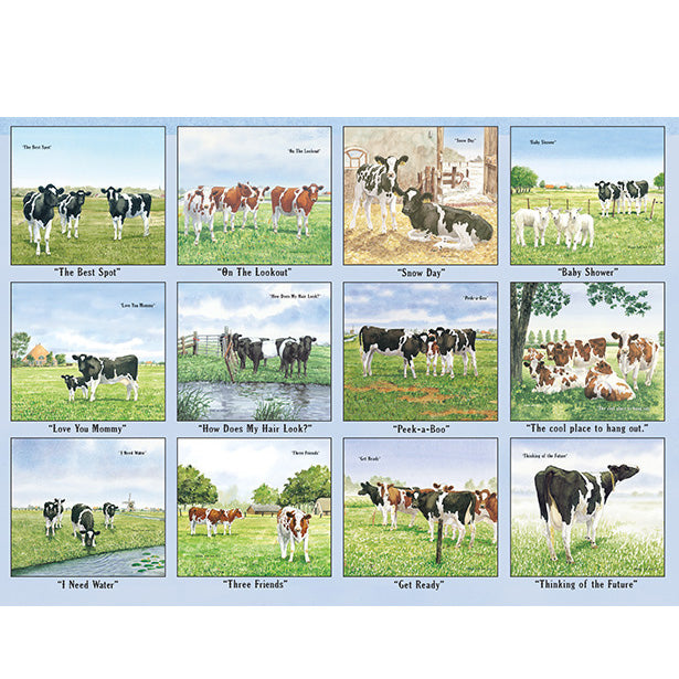 Cows In The Meadow 2026 | Wall Calendar