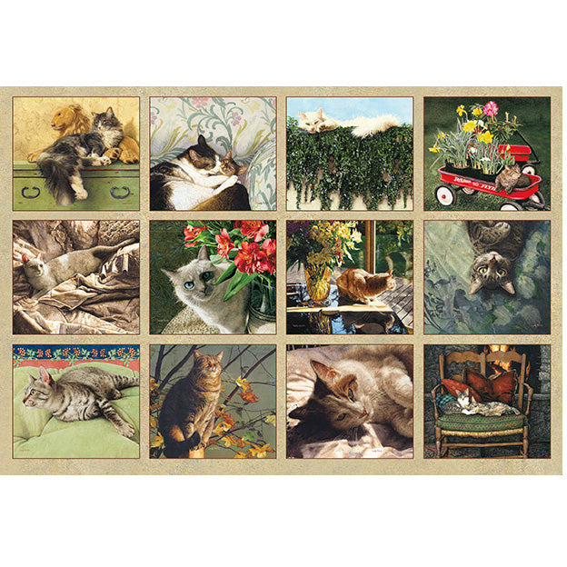 Cats We Love 2026 | Wall Calendar