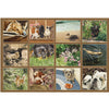 Dogs We Love 2026 | Wall Calendar
