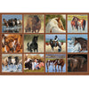 Horses 2026 | Wall Calendar