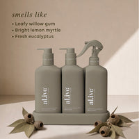 Dishwashing Liquid, Bench Spray & Hand Wash Trio | Willow Gum & Lemon Myrtle + Lemon Myrtle & Honeydew
