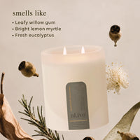 Soy Candle | Willow Gum & Lemon Myrtle
