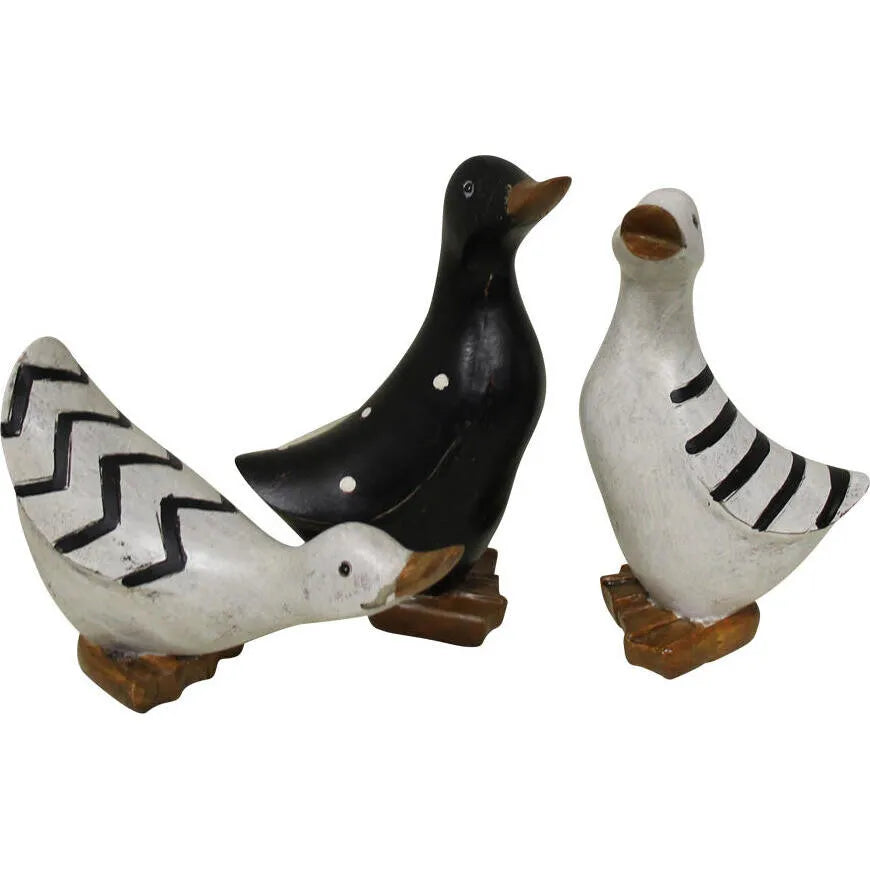 Black & White Ducks