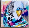 Bird Art By Amanda Brooks | Stone Drink Coaster Collection