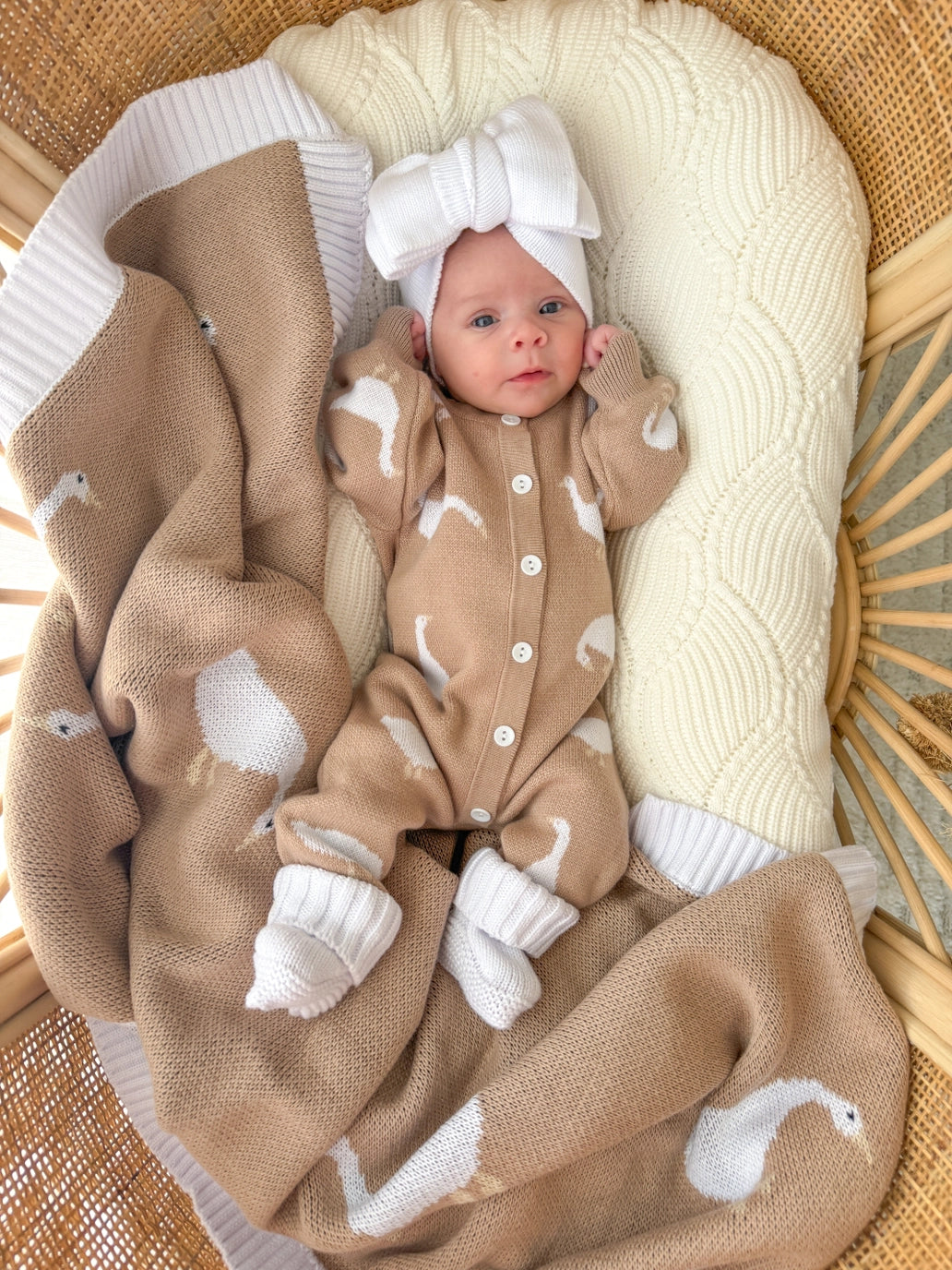 Little Goose | Onesie