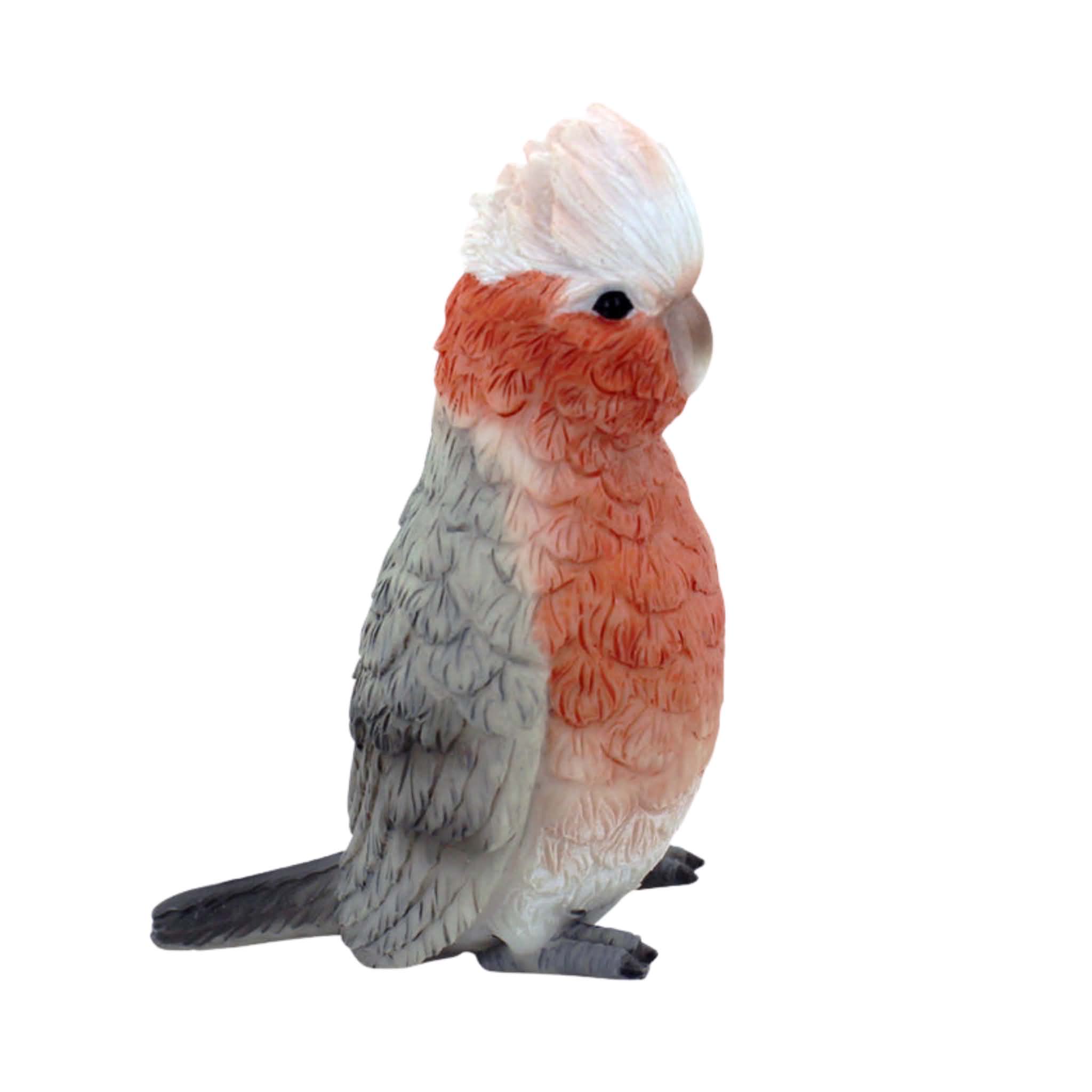 Real Life Galah