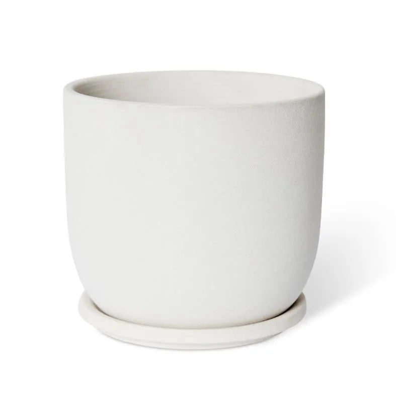 Allegra Pot w. Saucer | White