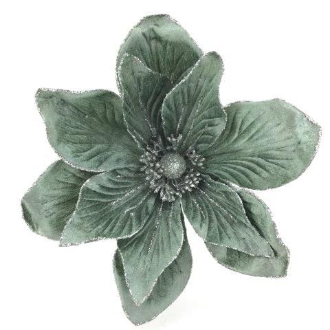 Sage Green Magnolia
