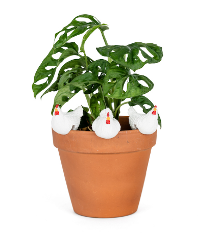 Chicken Pot Sitter | Small White