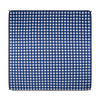 Blue Check Picnicware | Holiday Collection