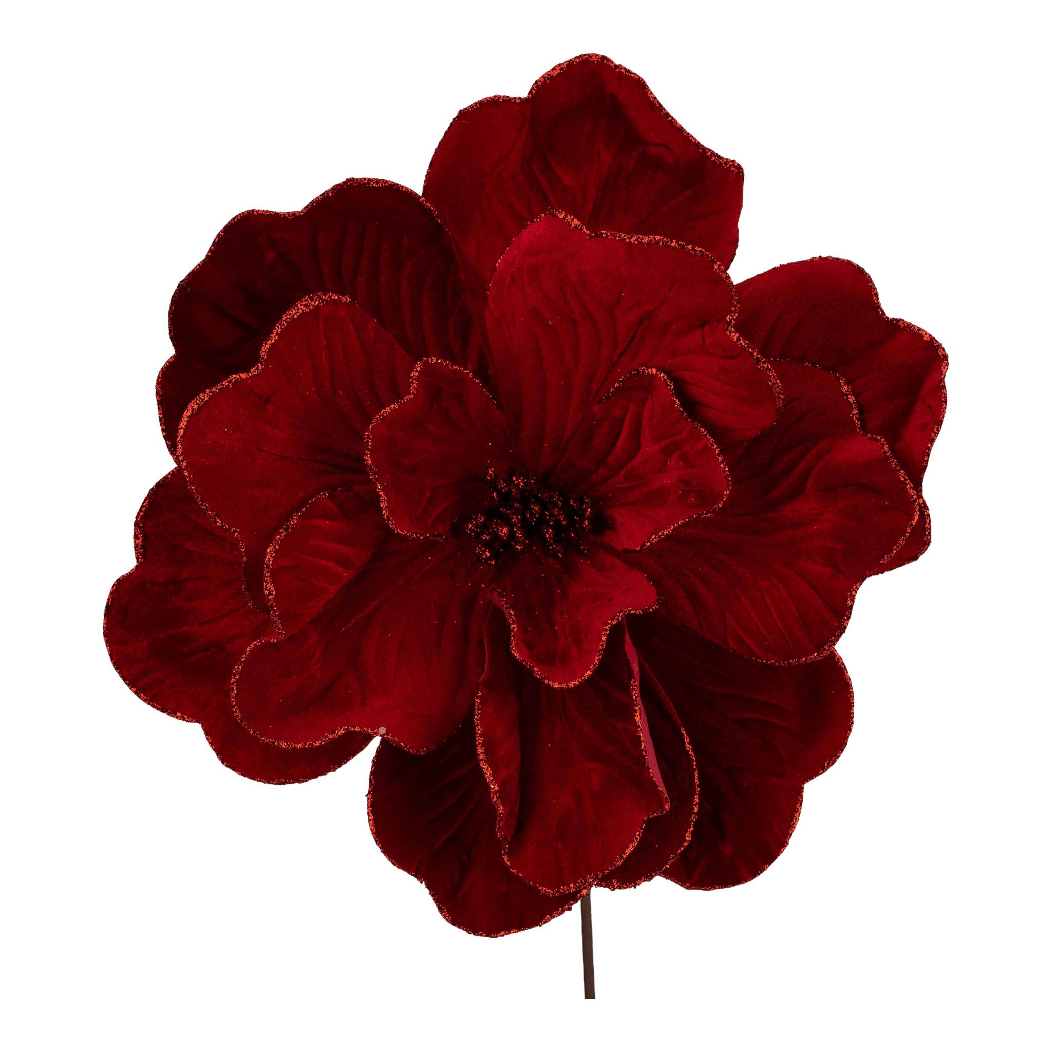 Red Magnolia Flower