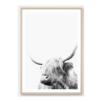 Highland Friend | Framed Print