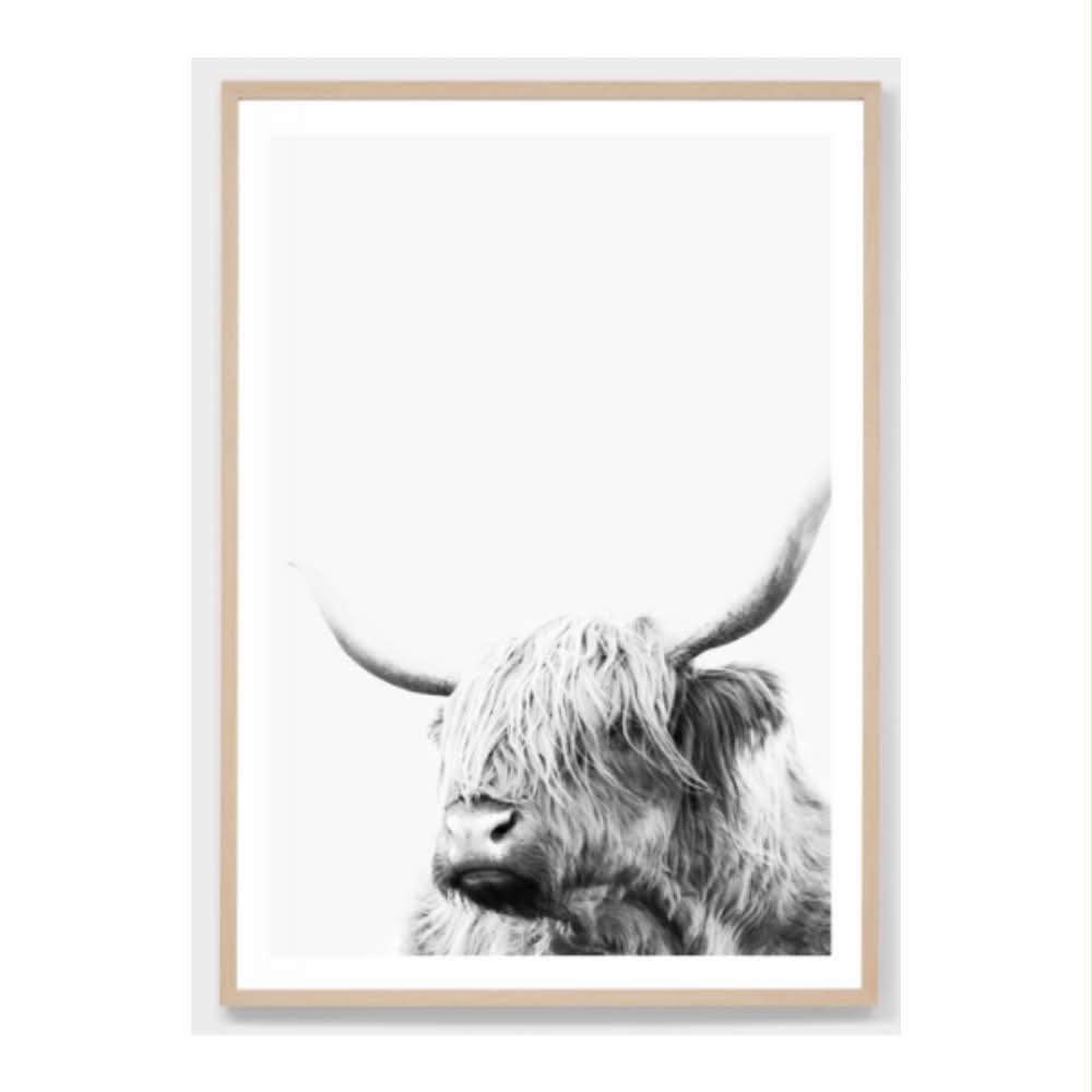 Highland Friend | Framed Print