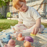 Eco-Friendly Counting Ducks