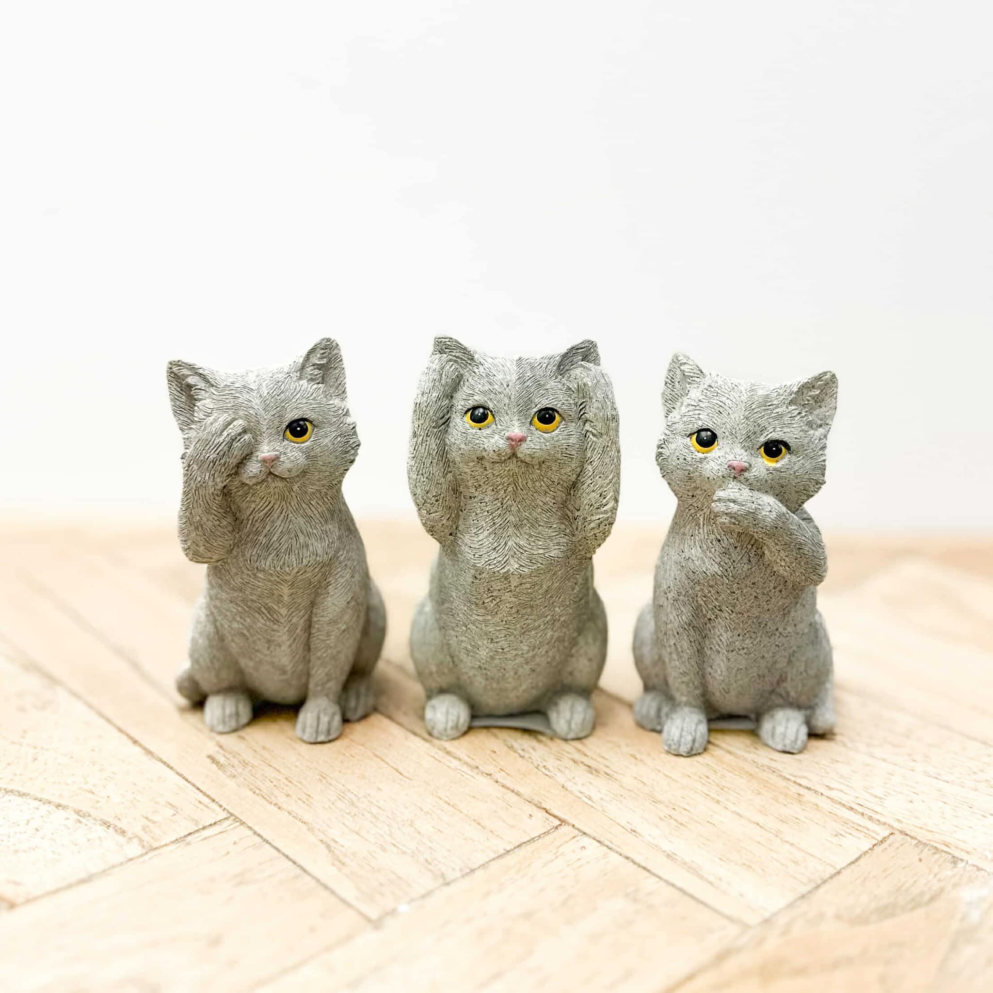 Hear No See No Speak No Evil | Cat – Whatever Mudgee