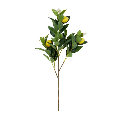 Lemon Stem | Green