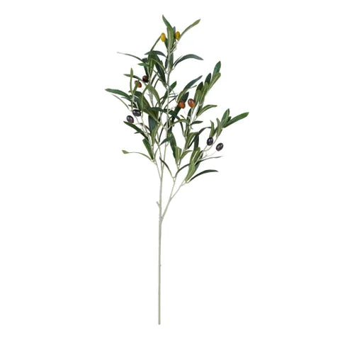 Olive Stem w Fruit | Green