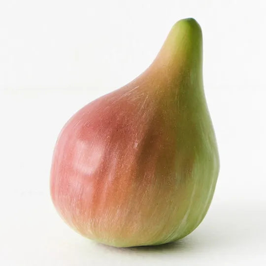 Fruit Fig | Green Mauve