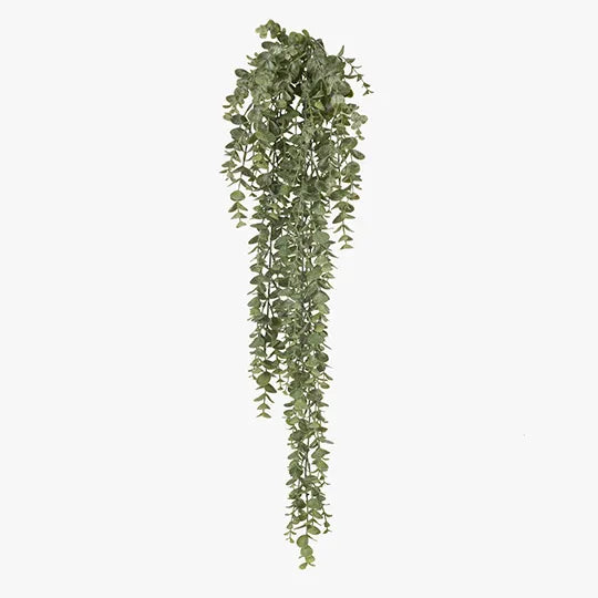 Eucalyptus Hanging Bush | Green