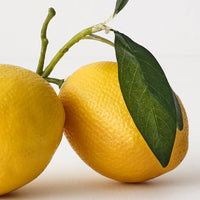 Lemon Cluster w/leaf