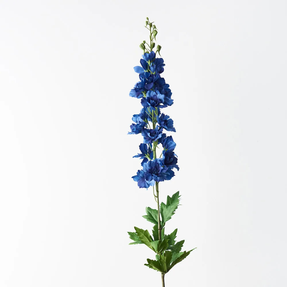Delphinium Royal Blue