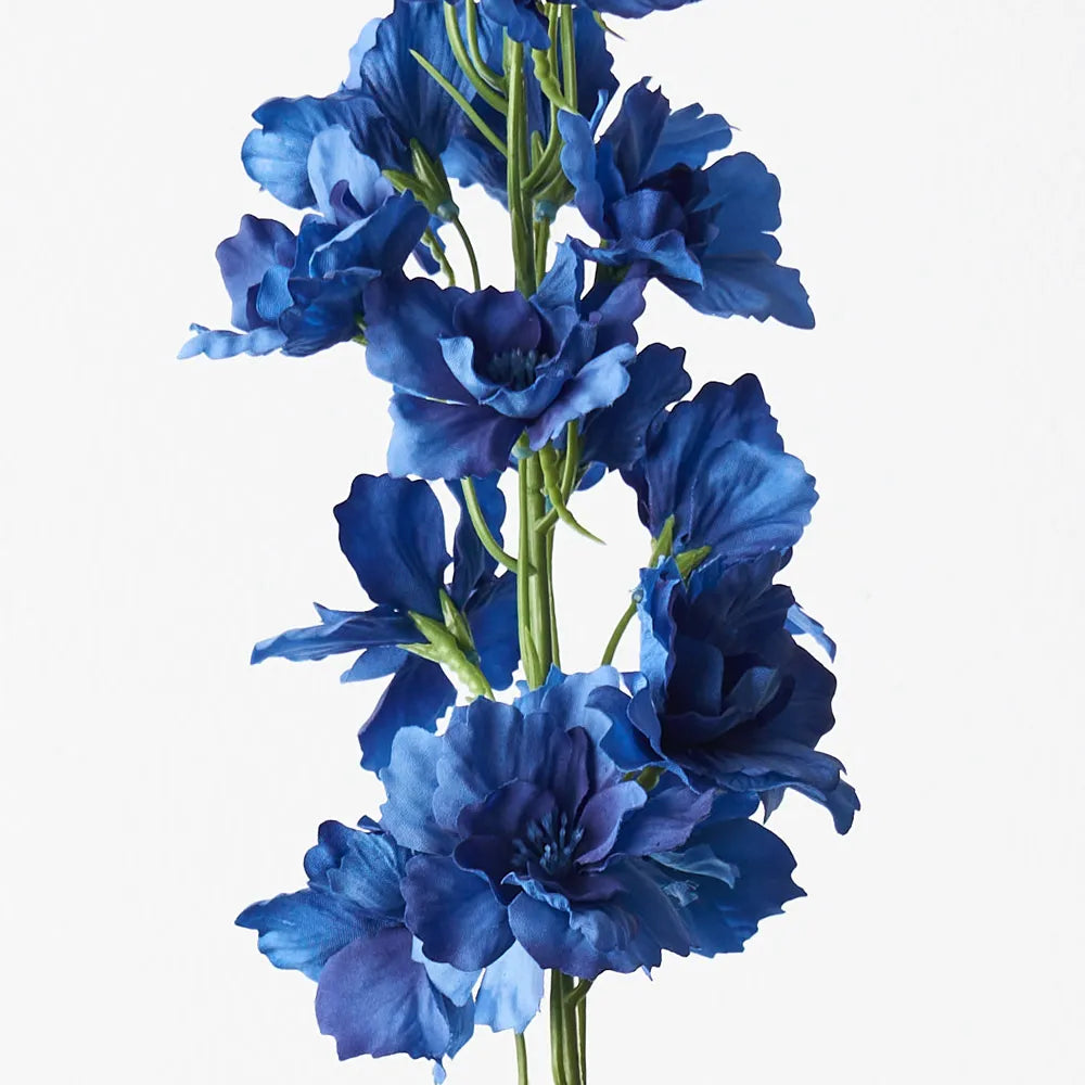 Delphinium Royal Blue