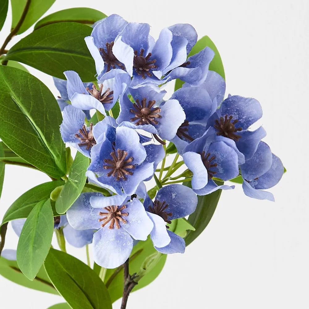 Snow Flower Spray | French Blue