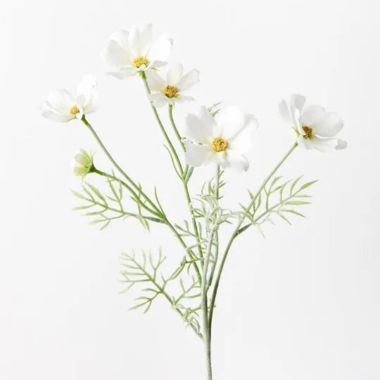 Cosmos Spray | White