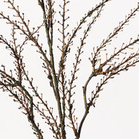 Coral Twig Spray | Brown