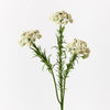 Berry Spray White 73cm